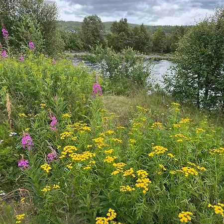 Nydelig Pa I Highland Fjellandsby * Geilo