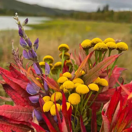 Nydelig Pa I Highland Fjellandsby * Geilo
