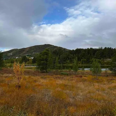 Nydelig Pa I Highland Fjellandsby Geilo