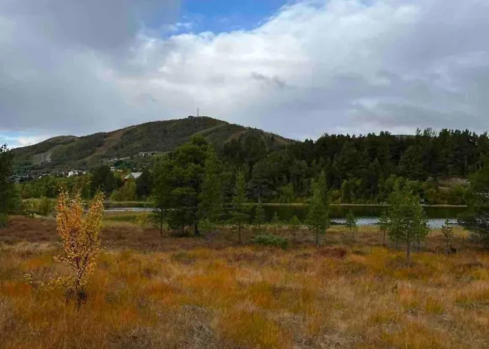 Nydelig Pa I Highland Fjellandsby Geilo